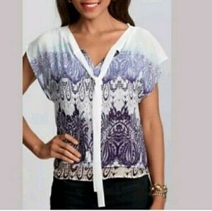 Cabi by Anthropologie Top Sleeveless Lined Sheer Printed Blue White Size Small